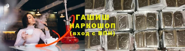 PSILOCYBIN Надым