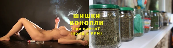 PSILOCYBIN Надым