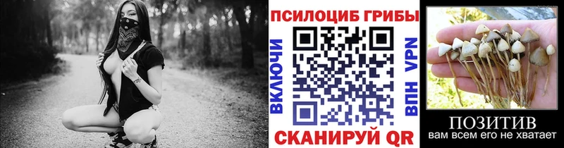 Купить где  Можайск  Псилоцибиновые грибы Psilocybine cubensis 